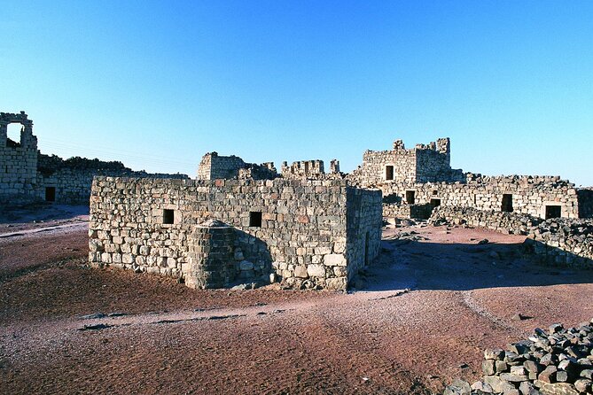 From Amman: Full-Day Tour to Amman City and Desert Castles - How the private vehicle changes the day