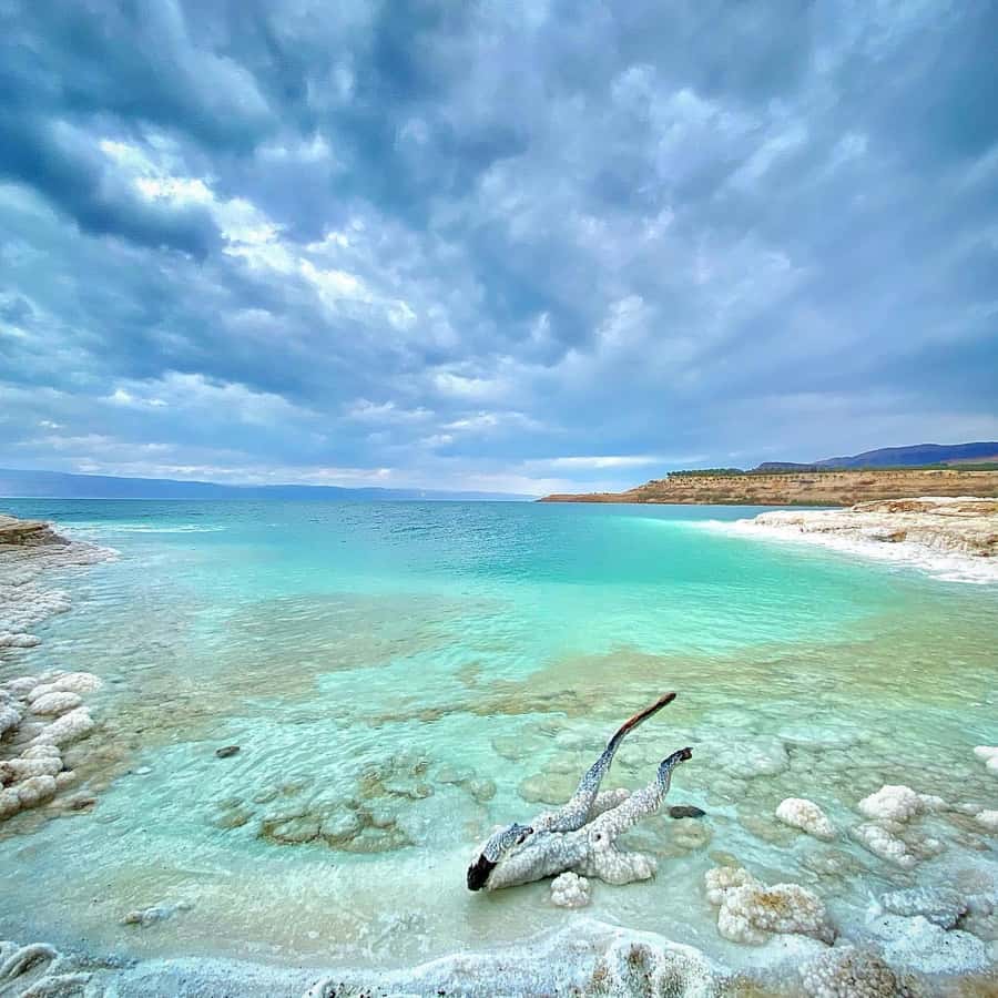 From Amman: Half-Day Tour to Dead Sea - Why the Dead Sea makes a strong half-day outing