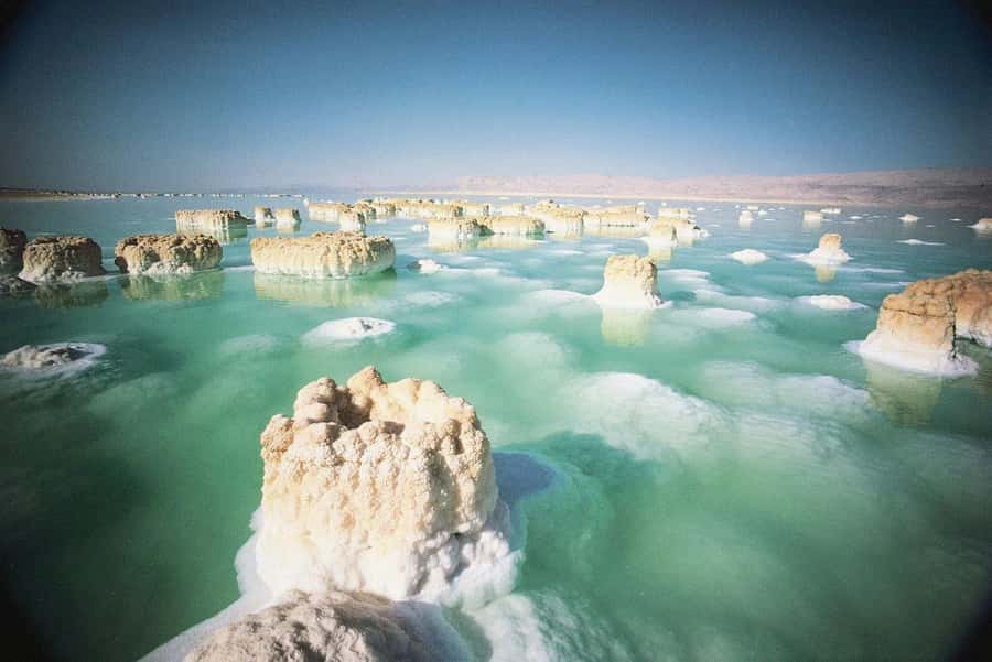 From Amman : Half-day tour to Dead sea and Crystal beach - Who this seven-hour trip suits best