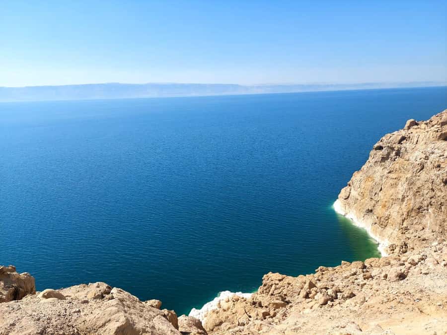 From Amman: Half-Day Tour to Dead Sea - A private ride from Amman, with less fuss