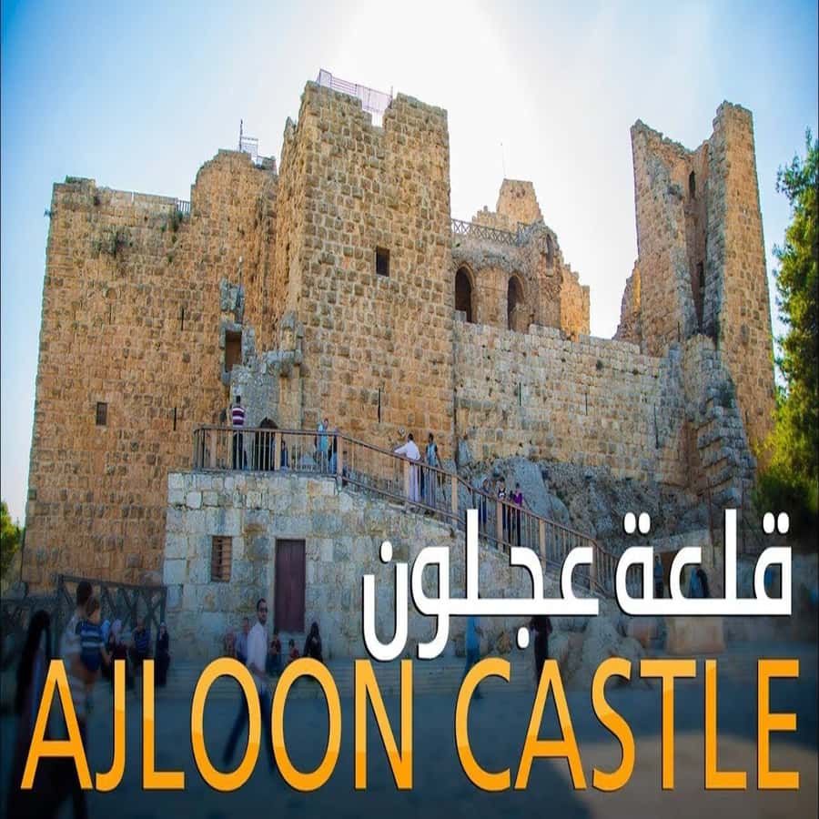 From Amman: Jerash &Ajloun &Um Qais Private Tour - Key points at a glance