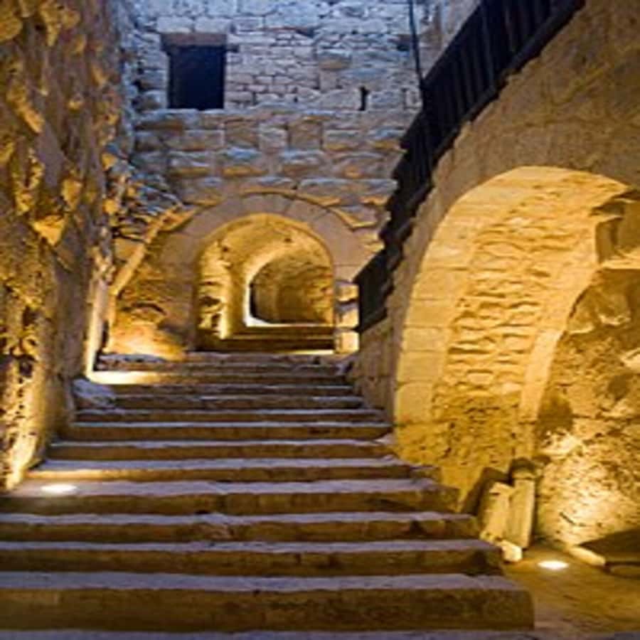 From Amman: Jerash &Ajloun &Um Qais Private Tour - A northern Jordan day built around ancient stones