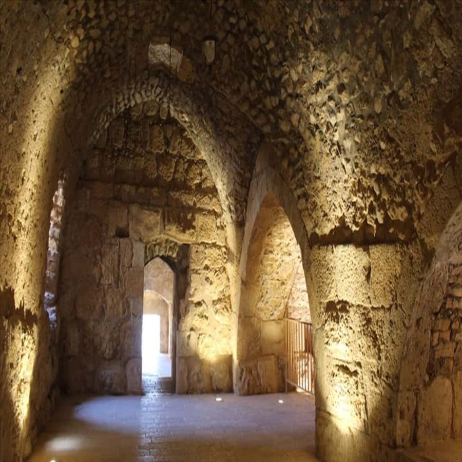 From Amman: Jerash &Ajloun &Um Qais Private Tour - Ajloun Castle: 40 minutes inside a medieval fortress