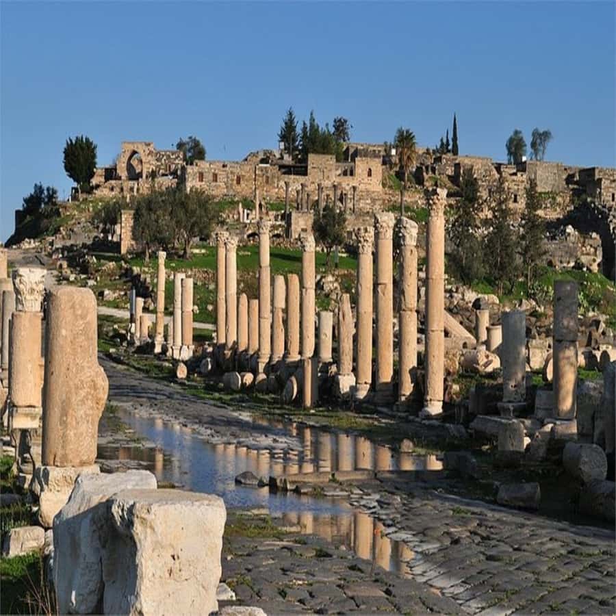From Amman: Jerash &Ajloun &Um Qais Private Tour - Jerash: two hours among Roman streets and theaters
