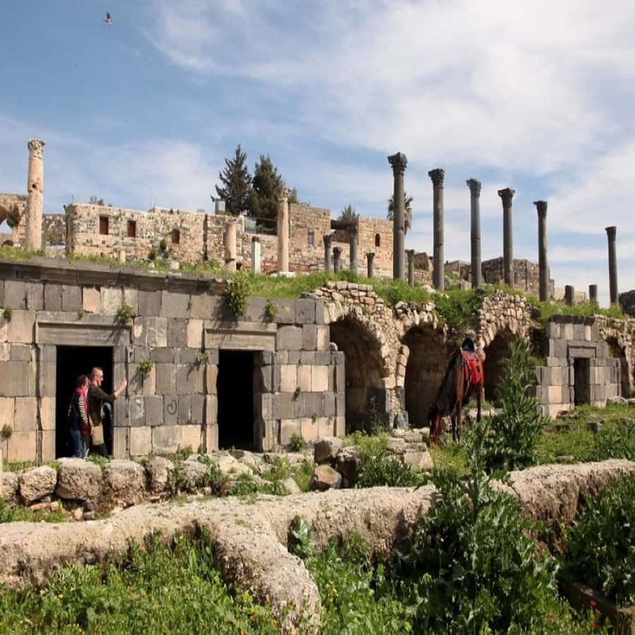 From Amman: Jerash &Ajloun &Um Qais Private Tour - The Um Qais question you should settle first
