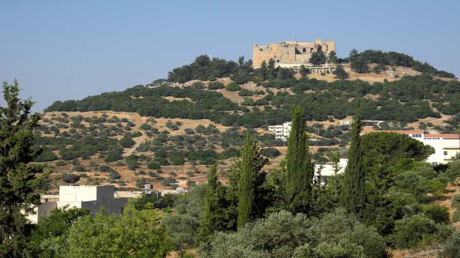 From Amman: Jerash and Ajloun Day Tour - Why Jerash deserves the first three hours