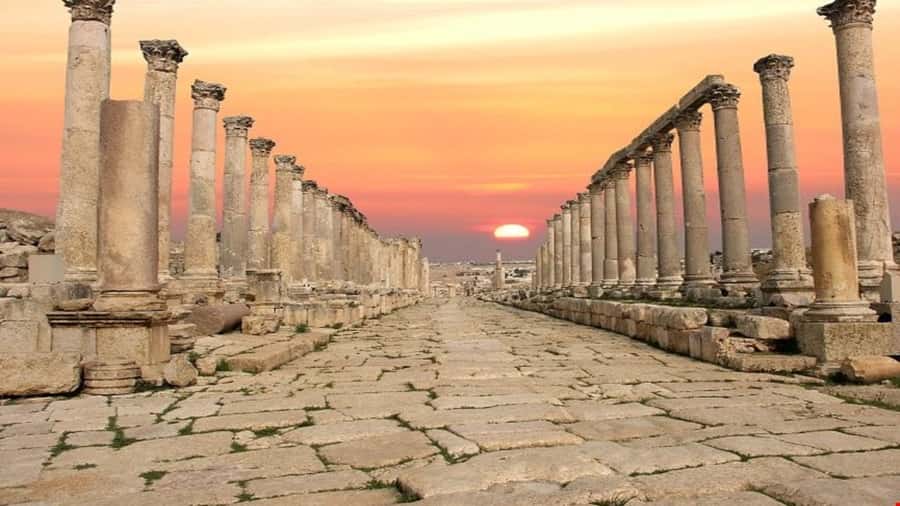 From Amman: Jerash and Ajloun Day Tour - How to make the most of your day