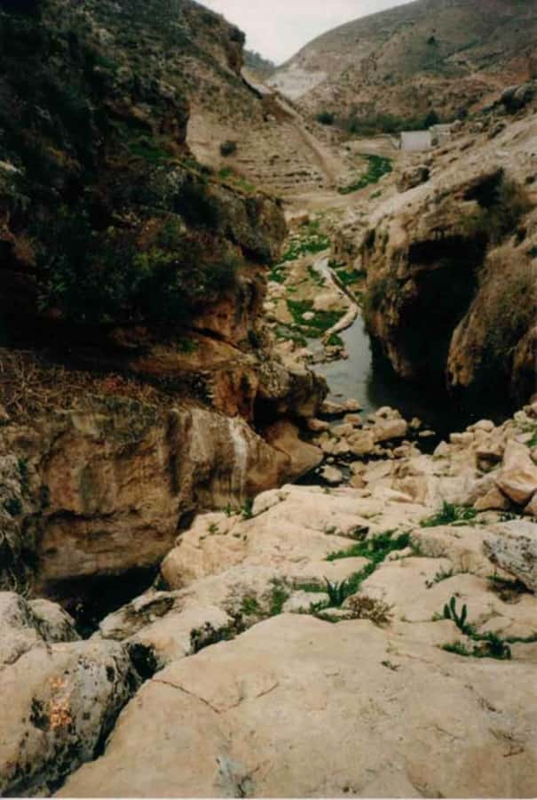 From Amman: Jerash, Umm Qais, and Jesus' Cave Private Trip - Lunch, food, and the long road home