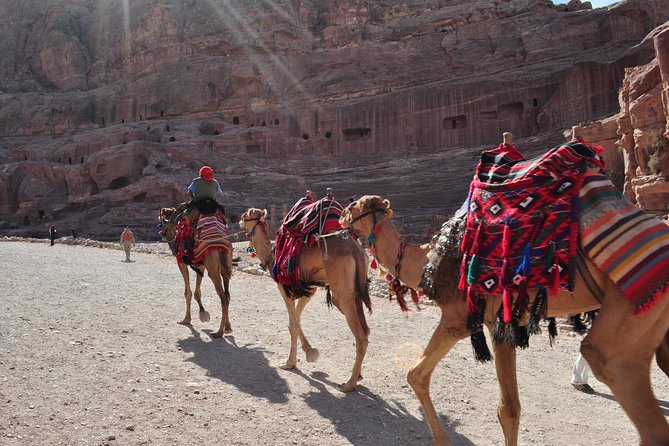 From Amman: one day tour to Petra - Why Petra makes this long day worthwhile