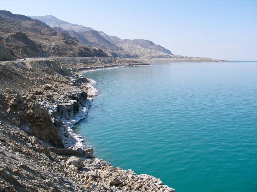 From Amman: Petra and Dead Sea Day Trip - Key points to know before you book