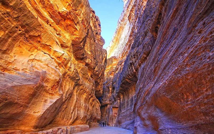 From Amman: Petra and Dead Sea Private Day Tour - What the drivers add to the day
