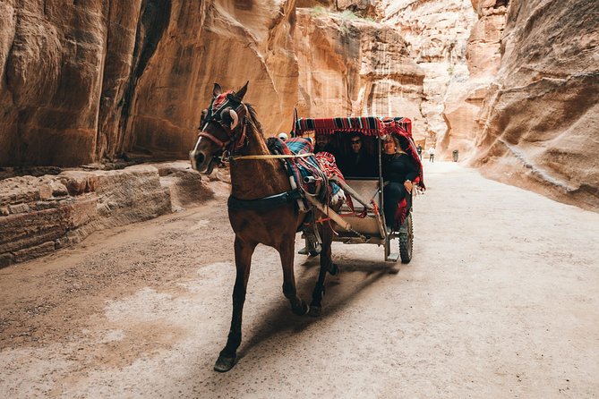 FROM AMMAN | Petra & Wadi Rum in one day | The Jordanian Mappers - Lunch in Wadi Musa before Petra