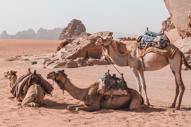 FROM AMMAN | Petra & Wadi Rum in one day | The Jordanian Mappers - Free time inside Petra
