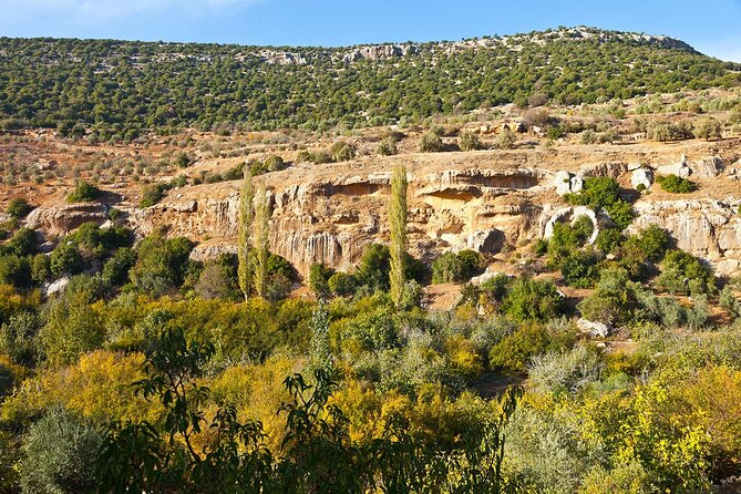 From Amman :Private day tour to Jerash and Ajloun - Key points to know before you book