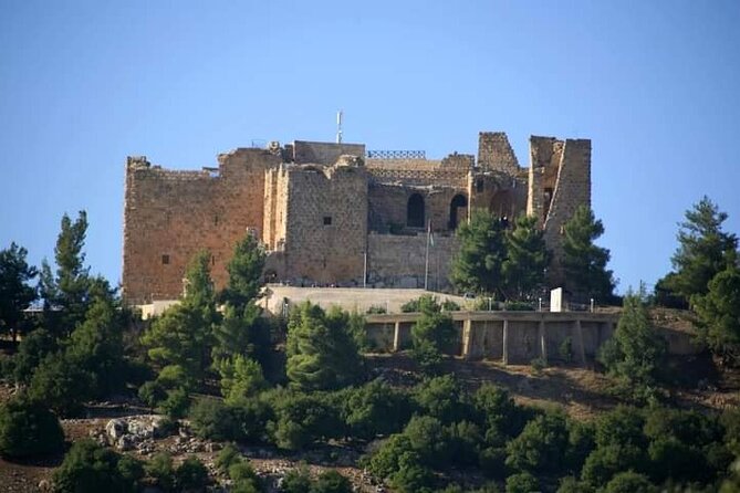 From Amman :Private day tour to Jerash and Ajloun - The private vehicle, Wi-Fi, and driver experience
