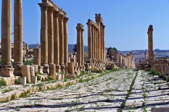 From Amman: Private Full Day Tour Jerash Ajloun & Um Qais - Jerash, Jordan’s great Roman showpiece
