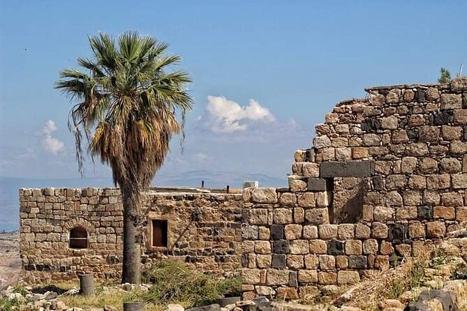 From Amman: Private Full Day Tour Jerash Ajloun & Um Qais - Food, water, Wi-Fi, and the small practical details