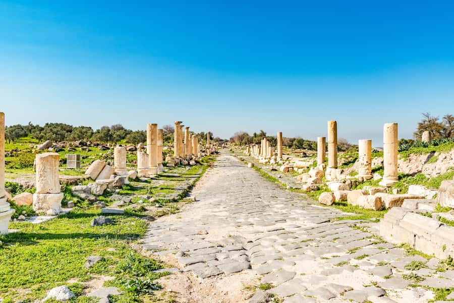 From Amman: Private Jerash, Ajloun Castle, and Umm Qais Tour - Key points to know before booking