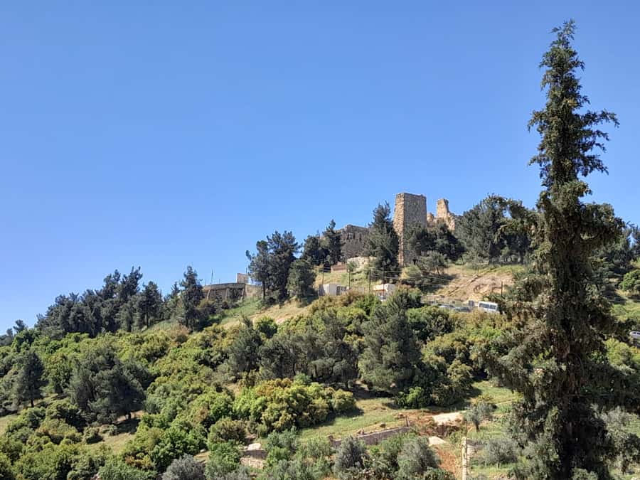From Amman: Private Jerash, Ajloun Castle, and Umm Qais Tour - Umm Qais brings the broadest views