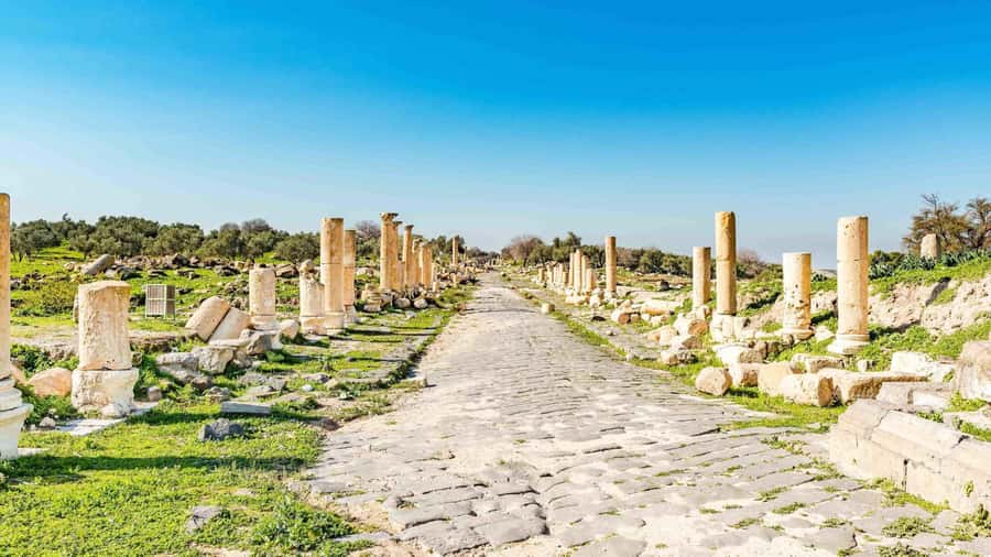From Amman: Private Jerash, Ajloun Castle, and Umm Qais Tour - What the private car changes