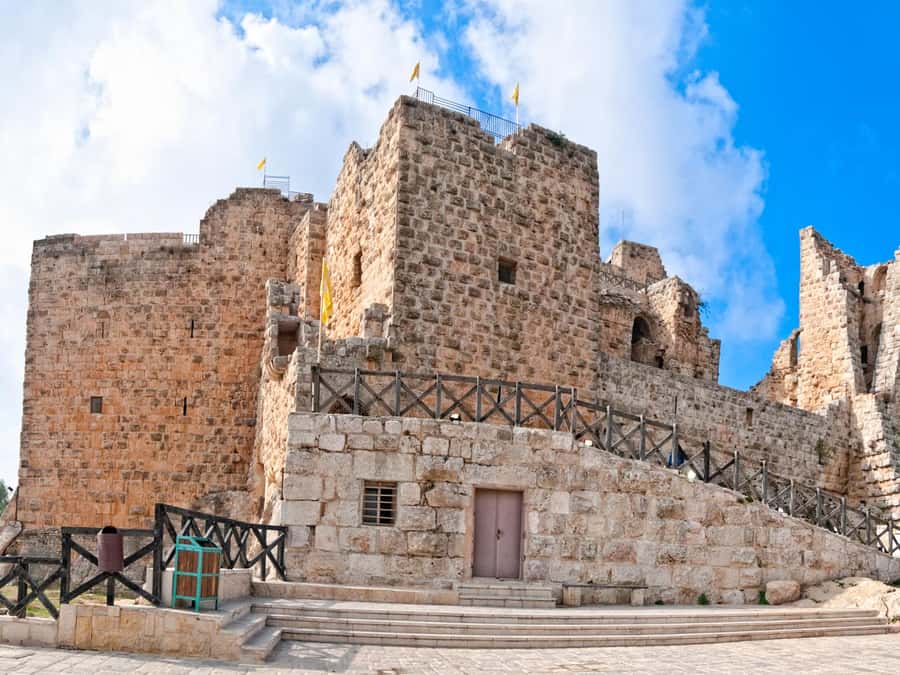 From Amman: Private Jerash, Ajloun Castle, and Umm Qais Tour - Who should book this northern Jordan trip?