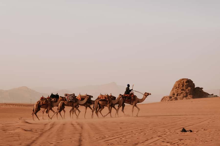 From Amman: Private or sharing Petra &Wadi Rum Full day Tour - Key points to know before booking