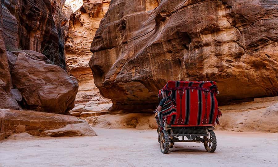From Amman: Private Petra Day Trip with Guide - What the two-hour Petra tour actually covers