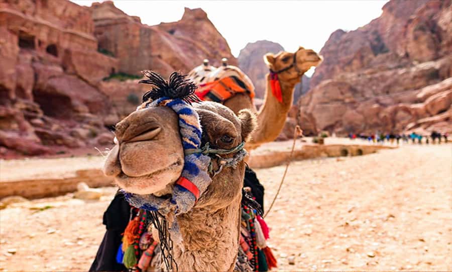 From Amman: Private Petra Day Trip with Guide - Entering Petra through the 1.2-kilometer Siq