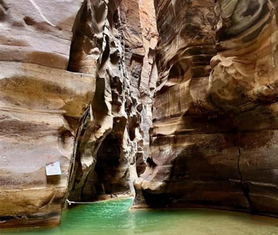 From Amman:To Al-Mujib Canyon & Dead Sea Salt Beach Day Trip - Timing, comfort, and practical limits