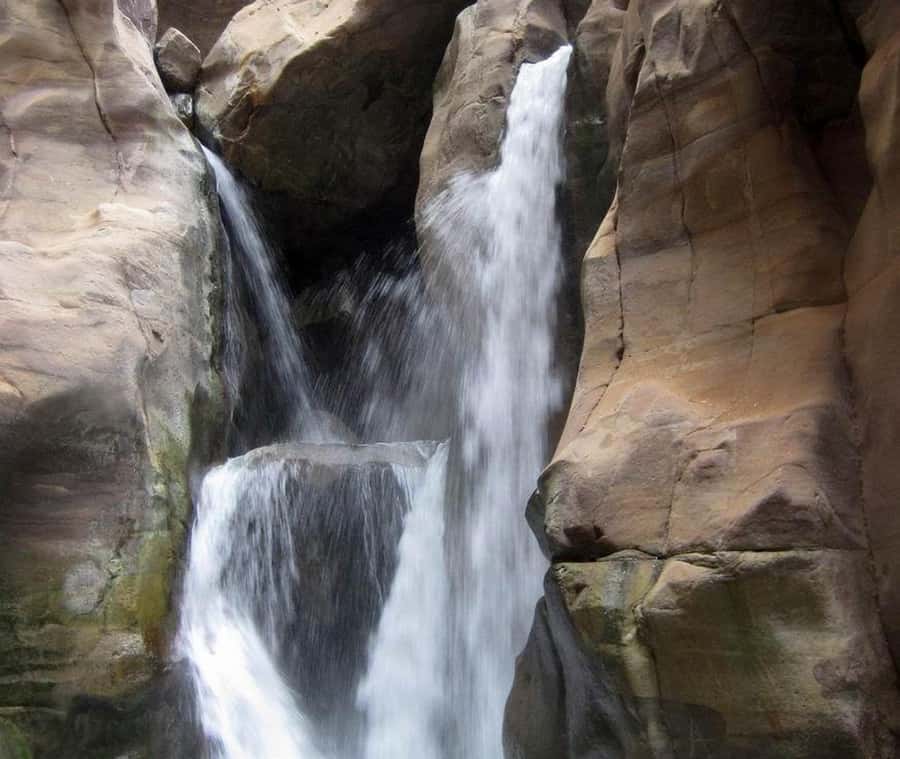 From Amman:To Al-Mujib Canyon & Dead Sea Salt Beach Day Trip - Should you book the Al-Mujib and Dead Sea trip?