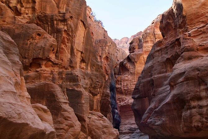 From Amman to Petra and Wadi rum ( Private two days) - A night in a Bedouin camp at Wadi Rum