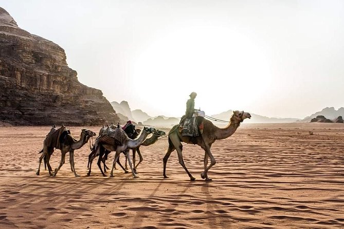 From Amman to Petra and Wadi rum ( Private two days) - What the private format is really worth
