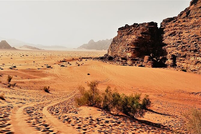From Amman to Petra and Wadi rum ( Private two days) - Who should book this two-day trip