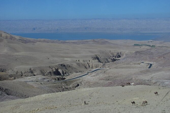 From Amman to West ( Madaba, Mt Nebo, baptism site and dead sea) - The Dead Sea, salt, buoyancy, and mud