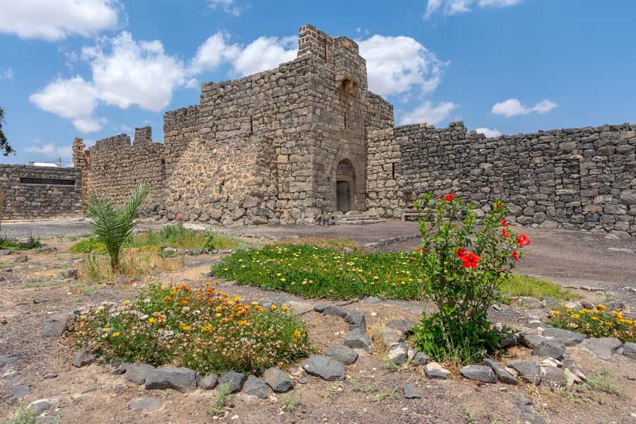 From Amman: Umayyad Desert Castles Tour with Transfer - The road from Amman matters as much as the ruins