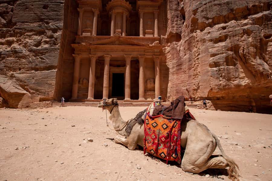 From Eilat, Jerusalem, Tel Aviv: Petra & Wadi Rum 3-Day Tour - Key points before you book