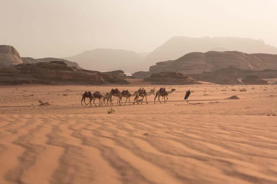 From Eilat, Jerusalem, Tel Aviv: Petra & Wadi Rum 3-Day Tour - Crossing from Israel into Jordan
