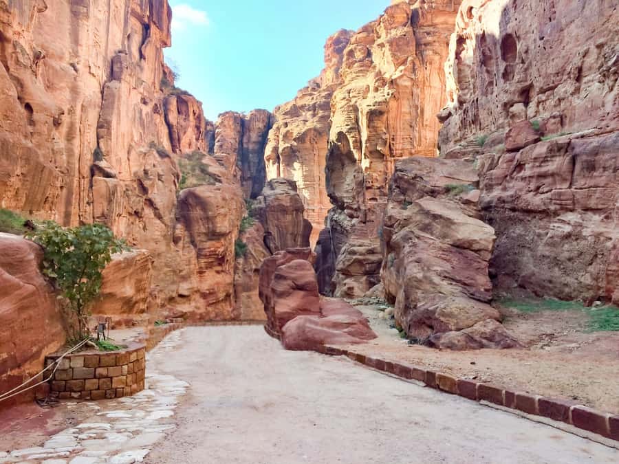 From Tel Aviv: Full-Day Trip to Petra with Roundtrip Flights - Petra in a single day from Tel Aviv