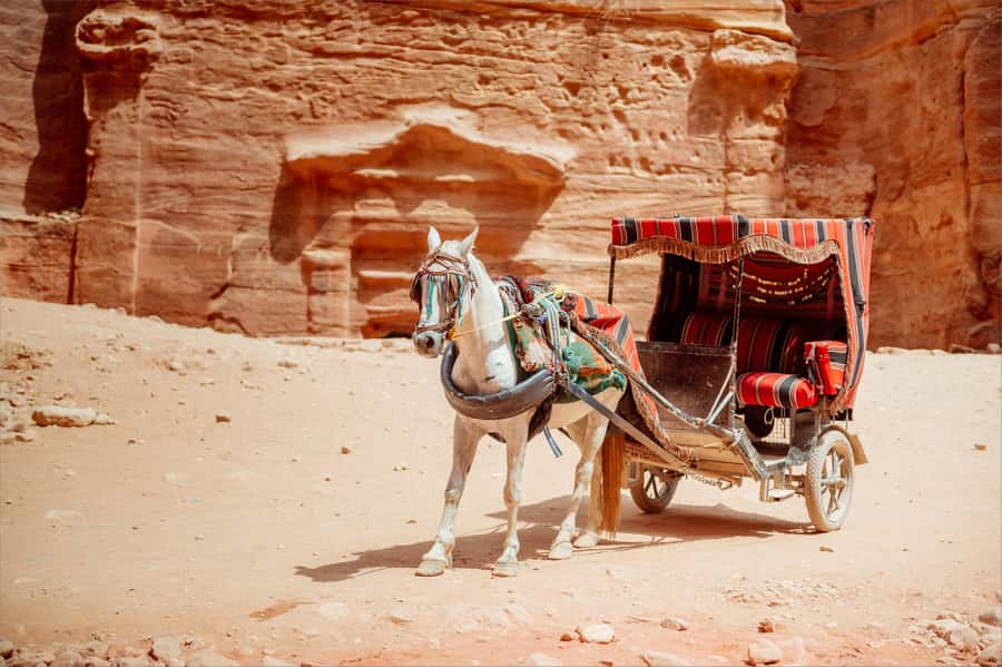 From Tel Aviv: Petra 1-Day Guided Tour with Transfers - Tombs, facades, and the theater