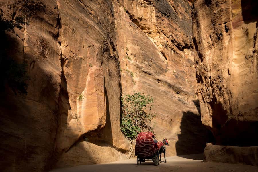 From Tel Aviv: Petra and Wadi Rum 3-Day Tour - Petra begins at the Siq