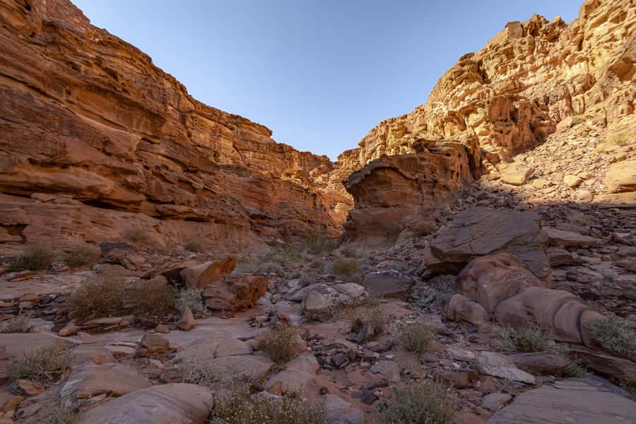From Wadi Rum: 2-Day Hiking Adventure and Jeep Tour - Why This Wadi Rum Trip Works