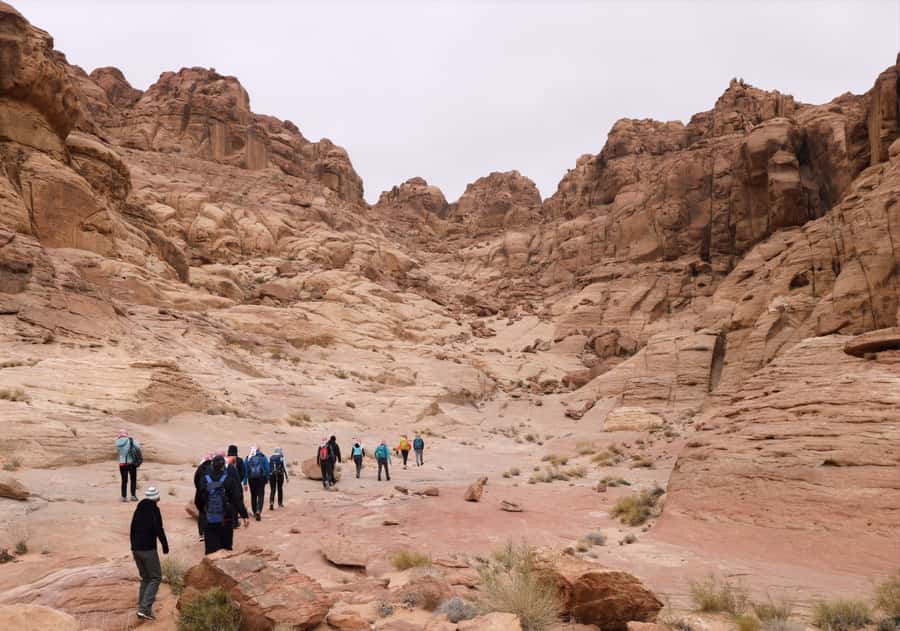 From Wadi Rum: 2-Day Hiking Adventure and Jeep Tour - A Jeep Ride Across Red and White Desert