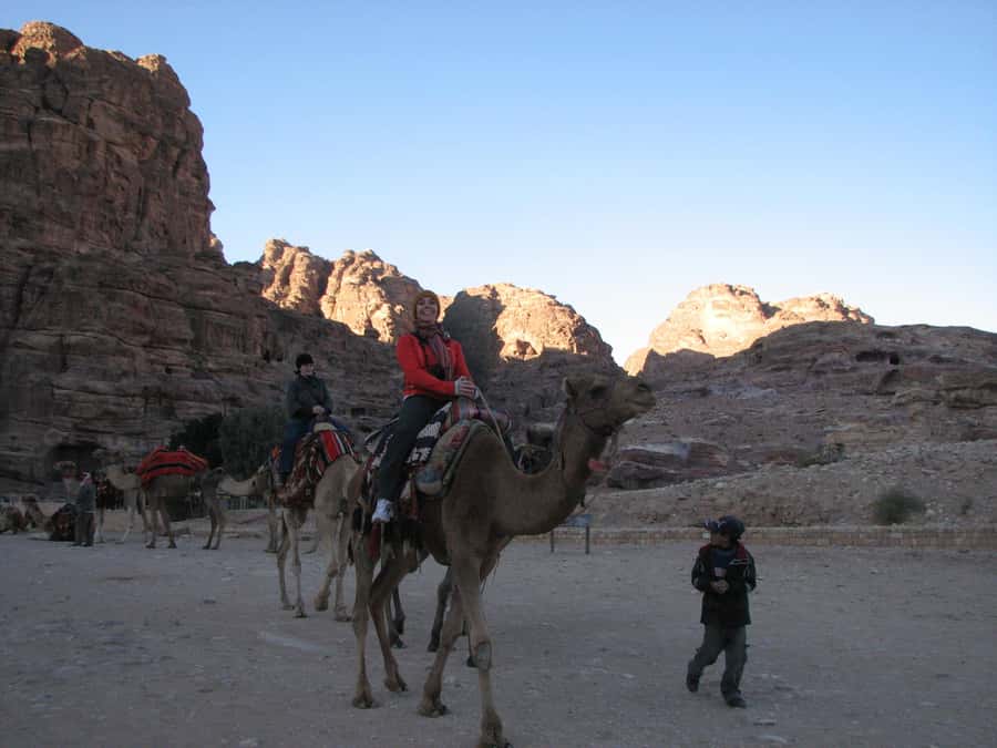 From Wadi Rum: Camel Ride Experience with Tea and Guide - Key points before you book