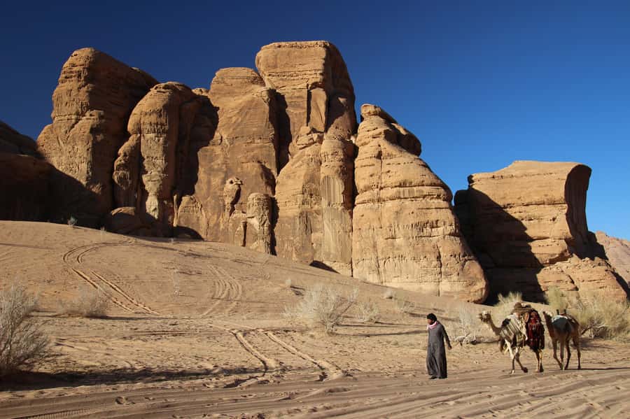 From Wadi Rum: Camel Ride Experience with Tea and Guide - Who will enjoy this most