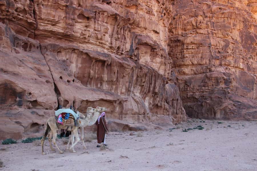 From Wadi Rum: Camel Ride Experience with Tea and Guide - Starting at Wadi Rum Rest House