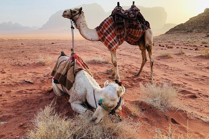 Full Day 4x4 Classic Desert Tour with overnight in private tent - Khazali Canyon, caves, and crevasses