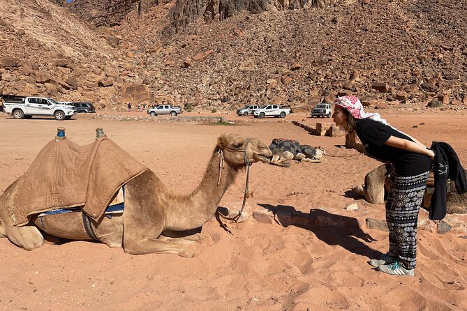Full Day 4x4 Classic Desert Tour with overnight in private tent - Sunset turns a busy day into a memorable one