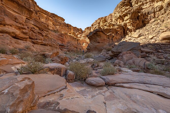 Full-Day 8 Hour Jeep Tour into Wadi Rum Protected Area with Stay - Walking through Abu Khashaba Canyon