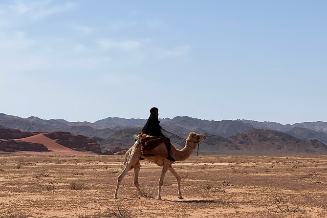 Full-Day Hiking in Wadi Rum's Desert with Lunch - The desert map puts the route in context