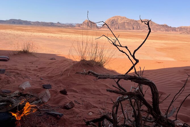 Full-Day Hiking in Wadi Rum's Desert with Lunch - Walking the soft dunes